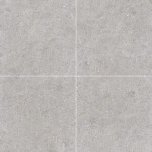 Galaxy Light grey (Lappato or Matte)